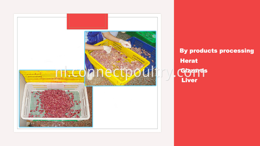 quail by products processing